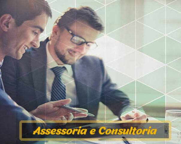 Assessoria e Consultoria