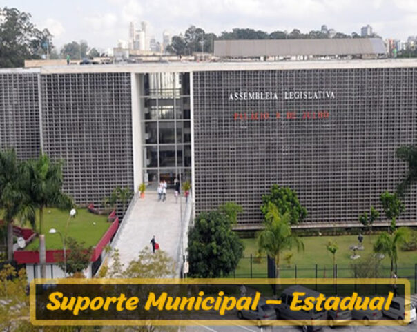 Suporte Municipal - Estadual